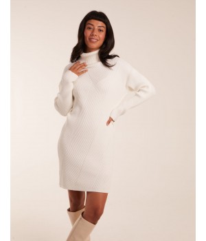 Rib Knitted Roll Neck Jumper Dress